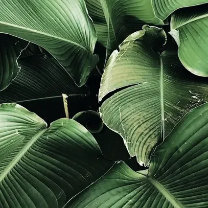 B97 Sustainability | Eco-friendly design