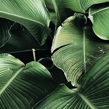 B97 Sustainability | Eco-friendly design B97 Sustainability | Eco-friendly design